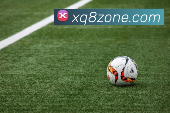 星期8娱乐城官网平台生态图