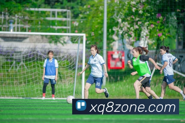 星期8娱乐城官网APP 封面图